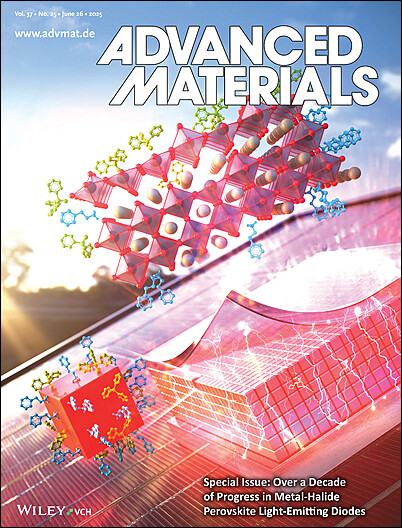 Nanocellulose-Derived Hierarchical Carbon Framework-Supported P-Doped MoO2 Nanoparticles for Optimizing Redox Kinetics in Lithium-Sulfur Batteries (Adv. Mater. 22/2025)
