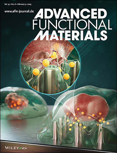 Advanced Functional Materials - Wiley Online Library