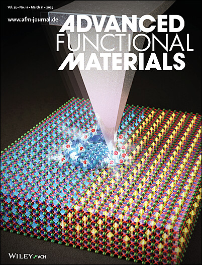 Advanced Functional Materials - Wiley Online Library